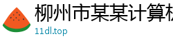 柳州市某某计算机维修网点